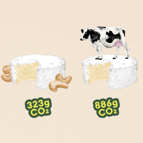 La production de notre Soft White consomme 323 g de CO2 : c’est presque 3 fois moins qu’un camembert au lait de vache suisse.